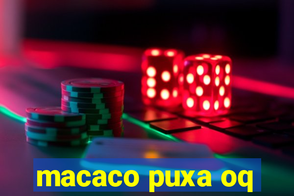 macaco puxa oq